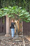 2009-09-14 08-48-23_0016